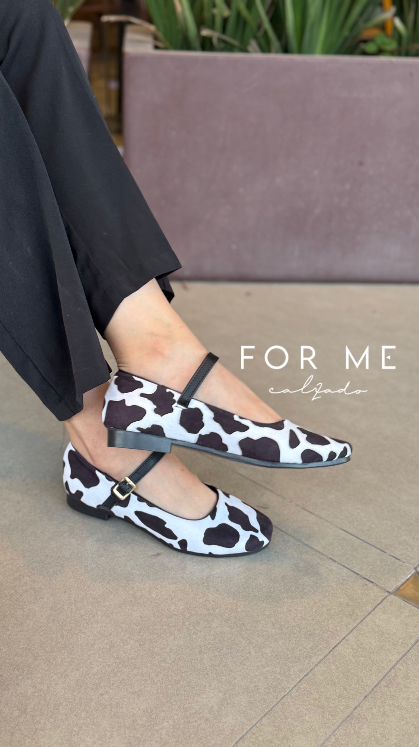 MATILDA VACA Zapatito de piso