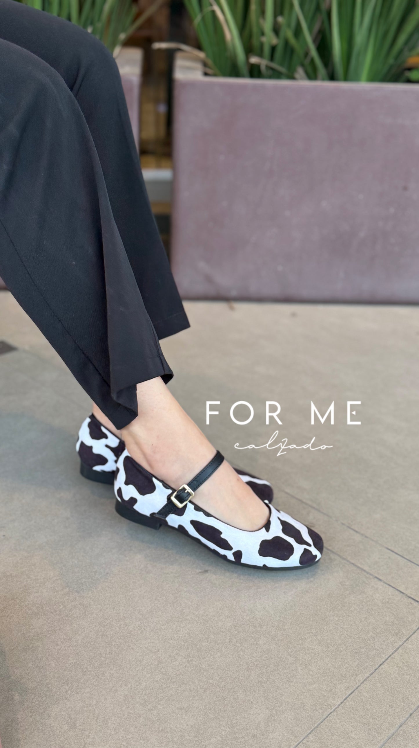 MATILDA VACA Zapatito de piso